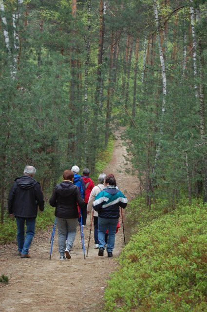 35 DSC_9273.JPG - (C) Jacek L. Piotrowski 601 07-77-09